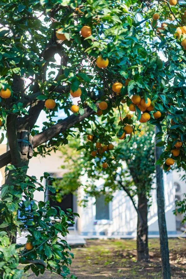 Готель Pane E Marmellata Сант'Аньєлло Екстер'єр фото
