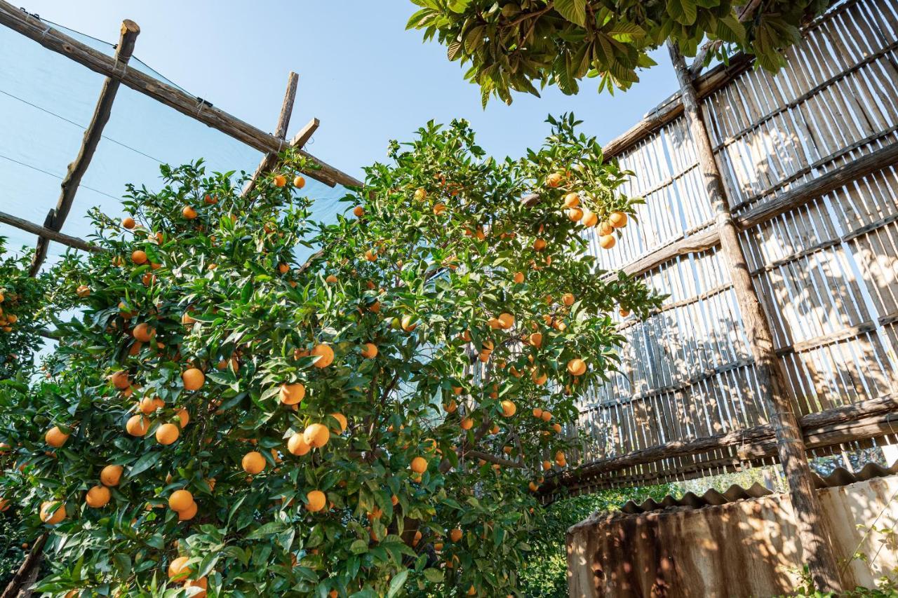 Готель Pane E Marmellata Сант'Аньєлло Екстер'єр фото