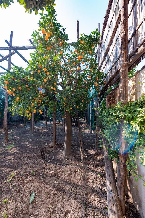 Готель Pane E Marmellata Сант'Аньєлло Екстер'єр фото